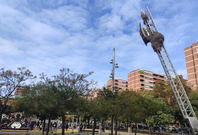 Nido gigante de cotorras y palomas en una farola de la plaza de la Palmera.