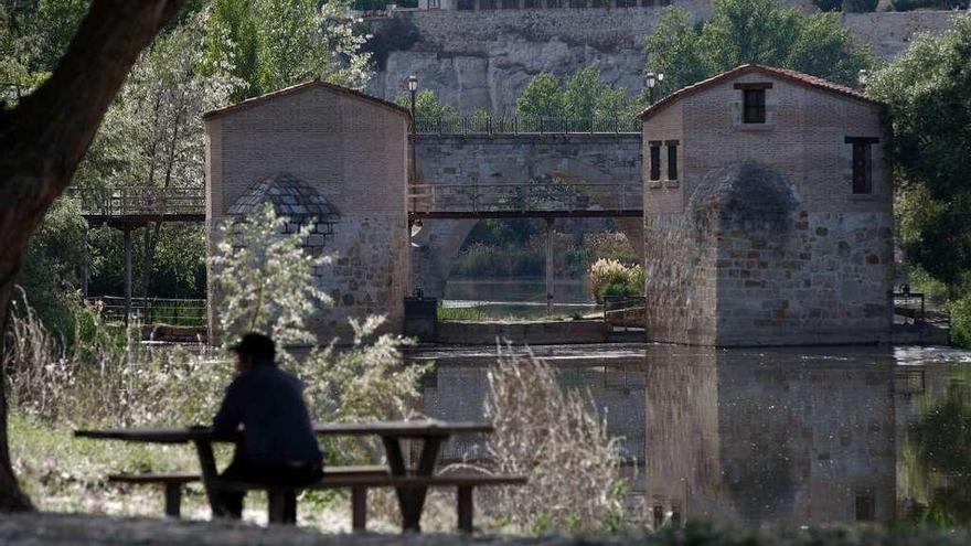 Las aceñas de Cabañales, en la margen izquierda del Duero.