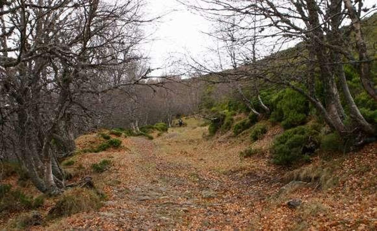 La vía de La Mesa, abandonada y desconocida