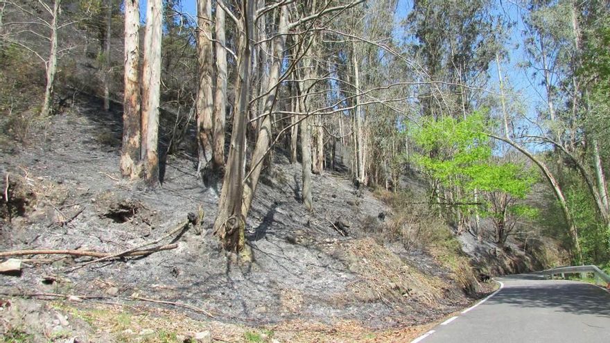 El Oriente, asolado: nueve focos en Llanes y más de trescientas hectáreas arrasadas