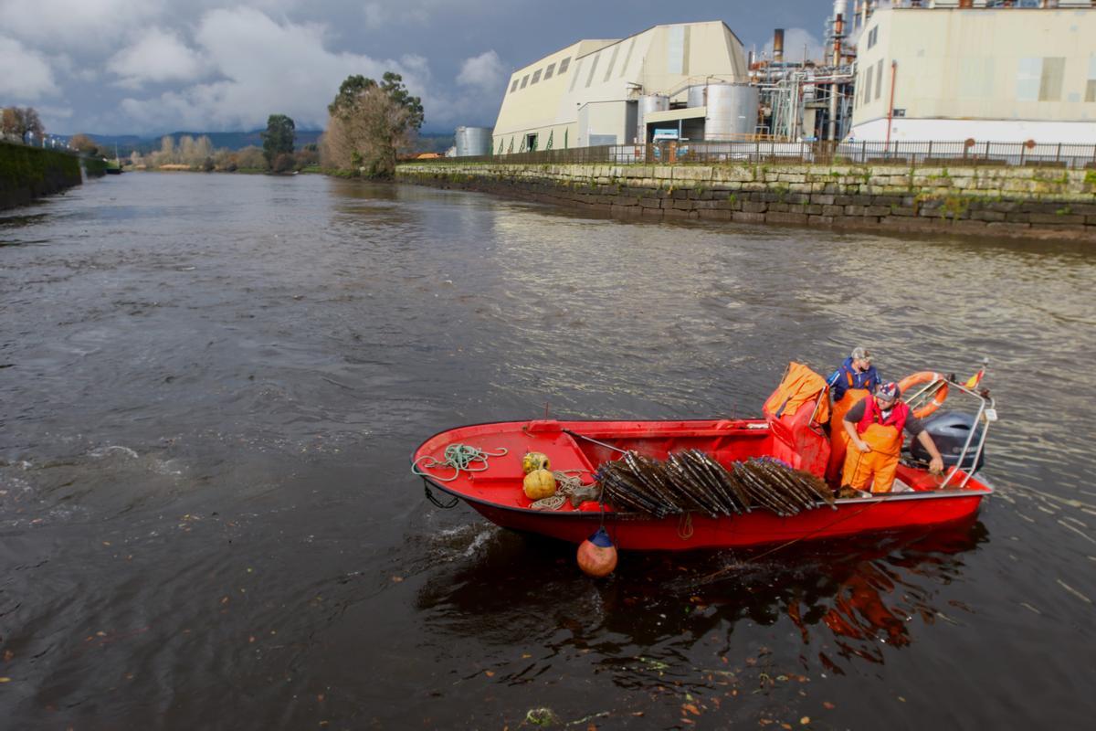 Una embarcación de pesca en el río Ulla, a su paso por Pontecesures y Padrón