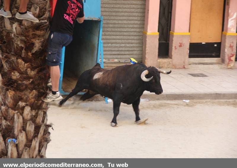 Desfile de peñas y toro