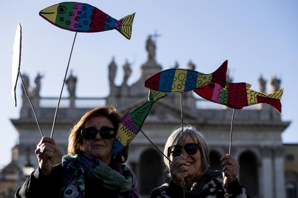 Más de 40.000 'sardinas' se manifiestan en Roma