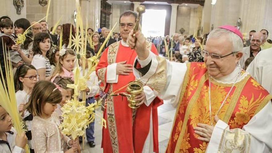 Un manto de palmas blancas