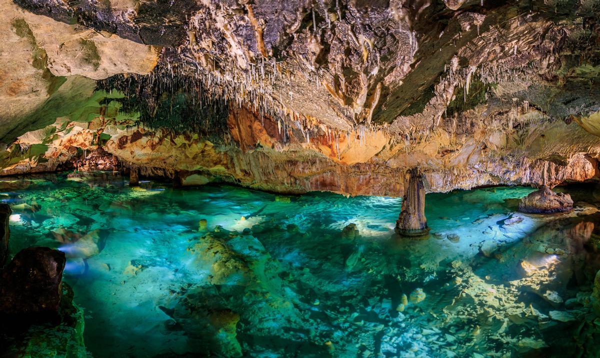 Es Reserva de la Biosfera