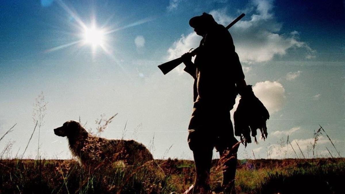 Calendario cinegético en Andalucía.