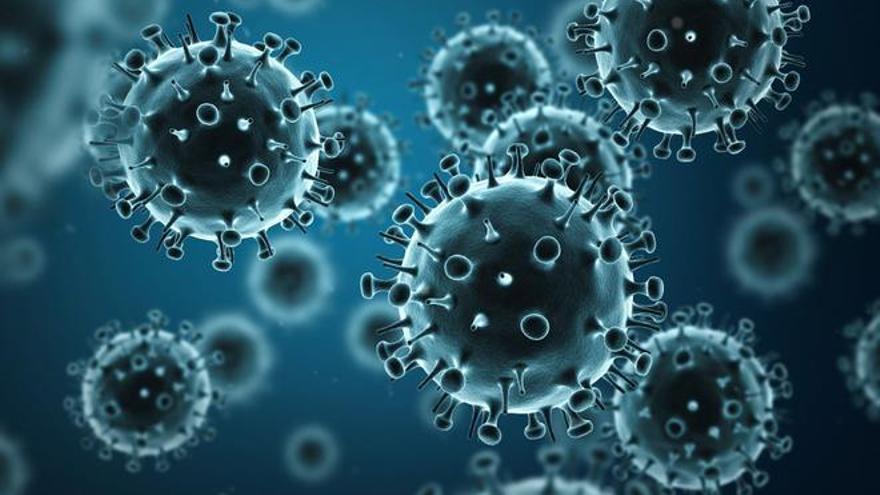 Aquest és el virus mortal que pot provocar una nova pandèmia segons l&#039;OMS
