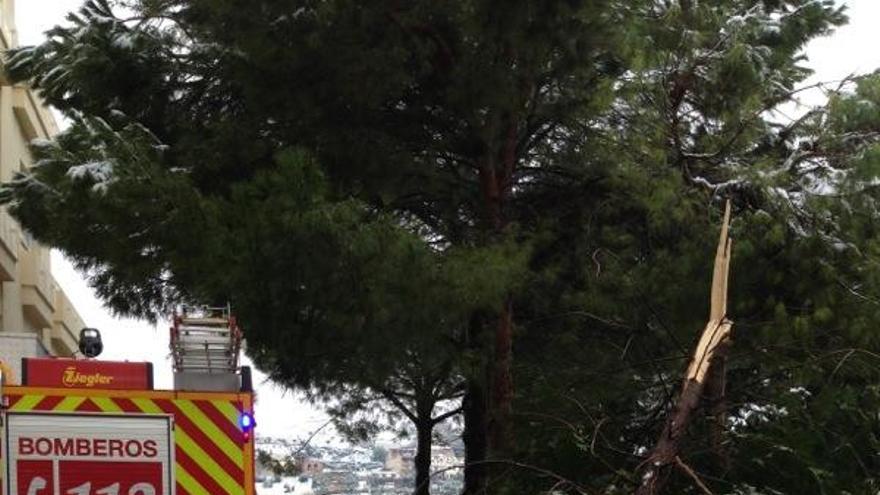 Bomberos del CPB actúan en una vía de la provincia.