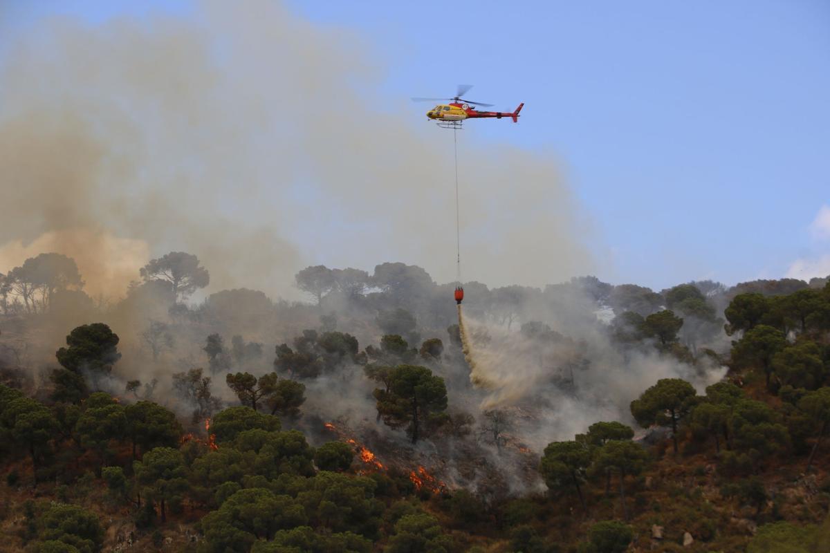 Incendio forestal en Castell d’Aro y Santa Cristina d’Aro