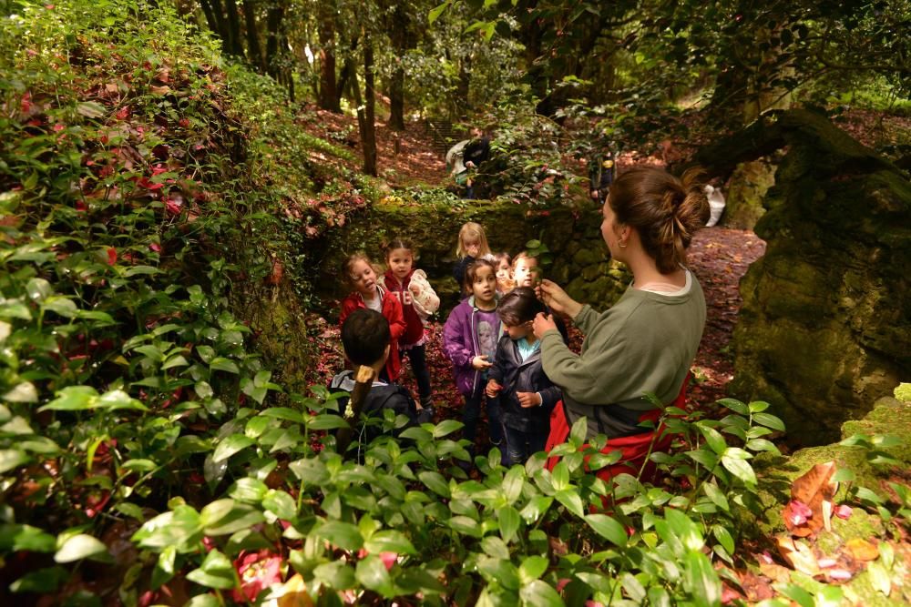 El Jardín Botánico de Lourizán, un pulmón verde