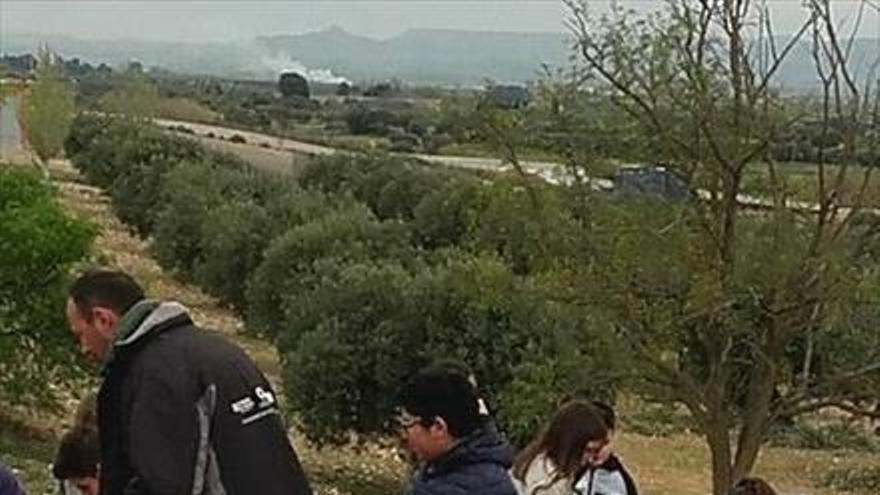 Los escolares realizan una plantación en el parque de la Ermita