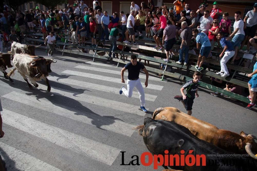 Cuarto encierro de Calasparra