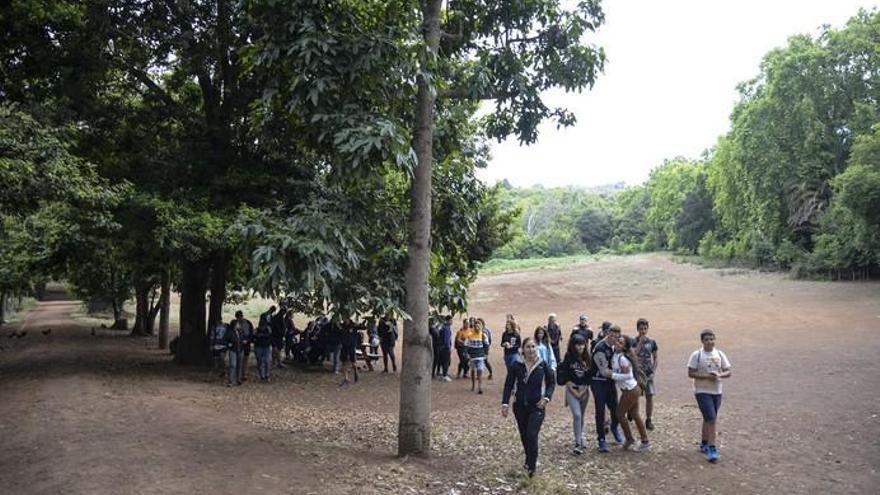 Día Mundial del medio Ambiente en Osorio