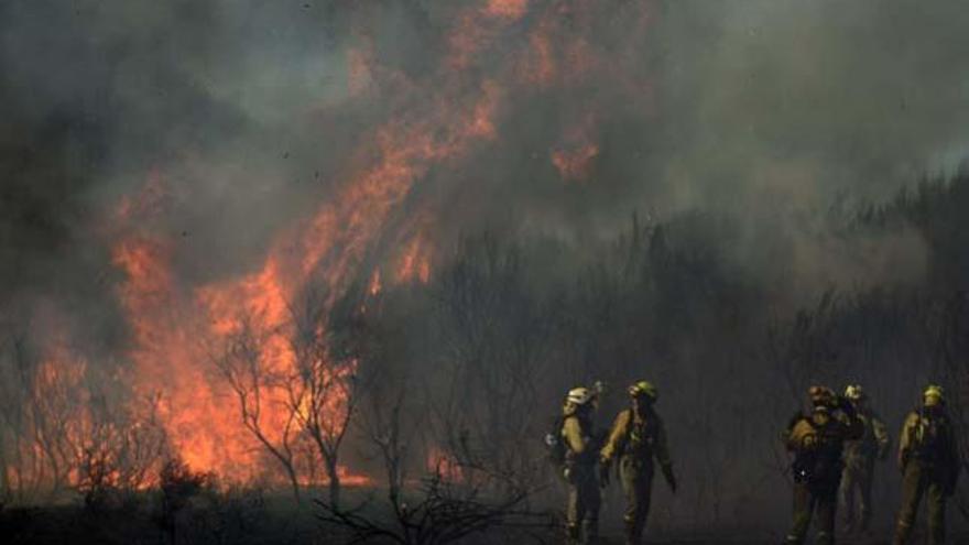 2.200 hectáreas arrasadas en Galicia en lo que va de año