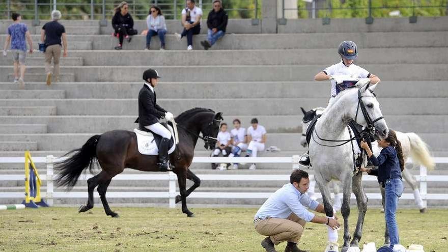 Preparativos de caballos antes de salir al ring, que acogió ayer por la tarde la copa de doma clásica. // Bernabé/Javier Lalín