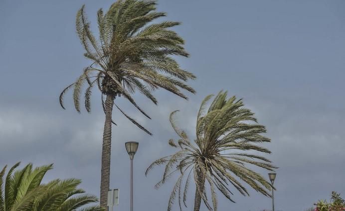 06/08/2017 LAS PALMAS DE GRAN CANARIA.  Calima y calor así como viento en la ciudad de Las Palmas de Gran Canaria  FOTO: J.PÉREZ CURBELO