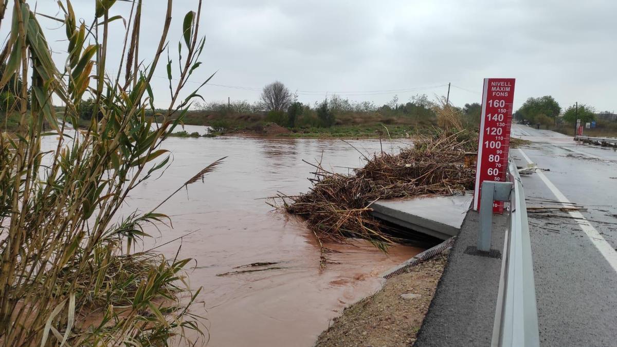 Cañas acumuladas en uno de los pasos inferiores del Barranc del Carraixet, el martes