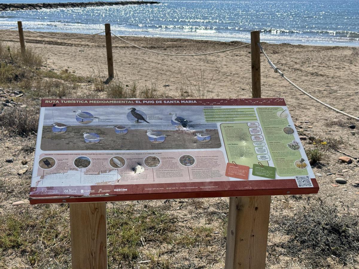 Carteles sobre las especies de aves en las playas del Puig.