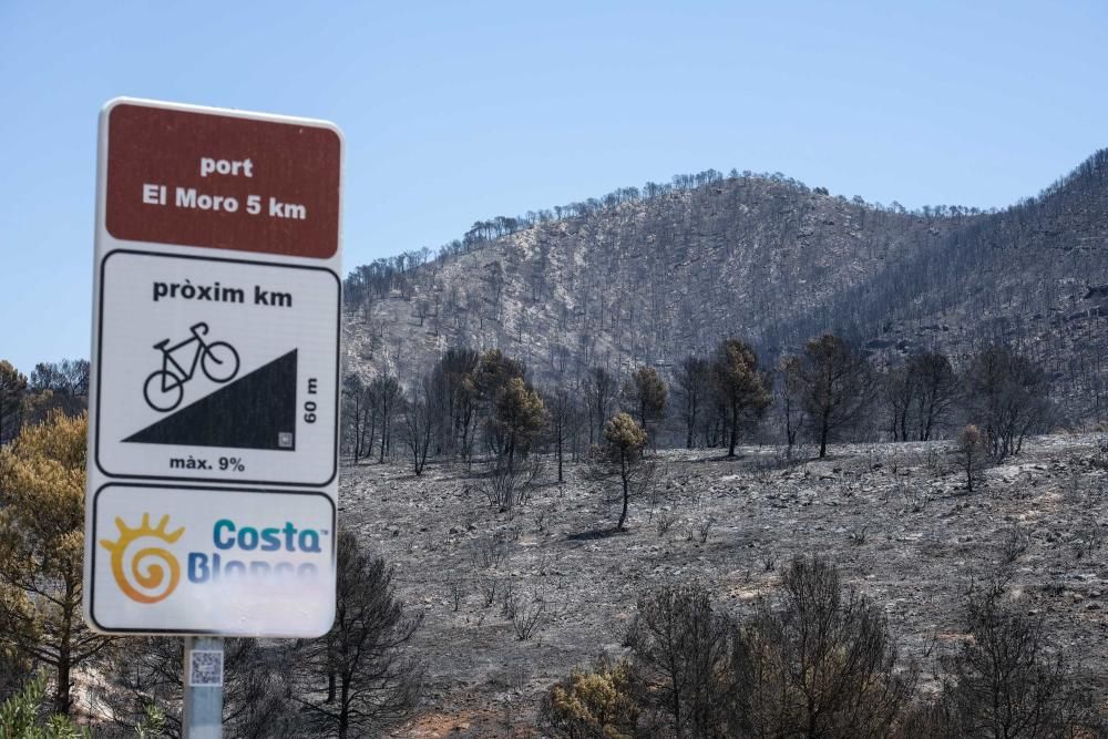 Así ha quedado la zona tras el incendio.