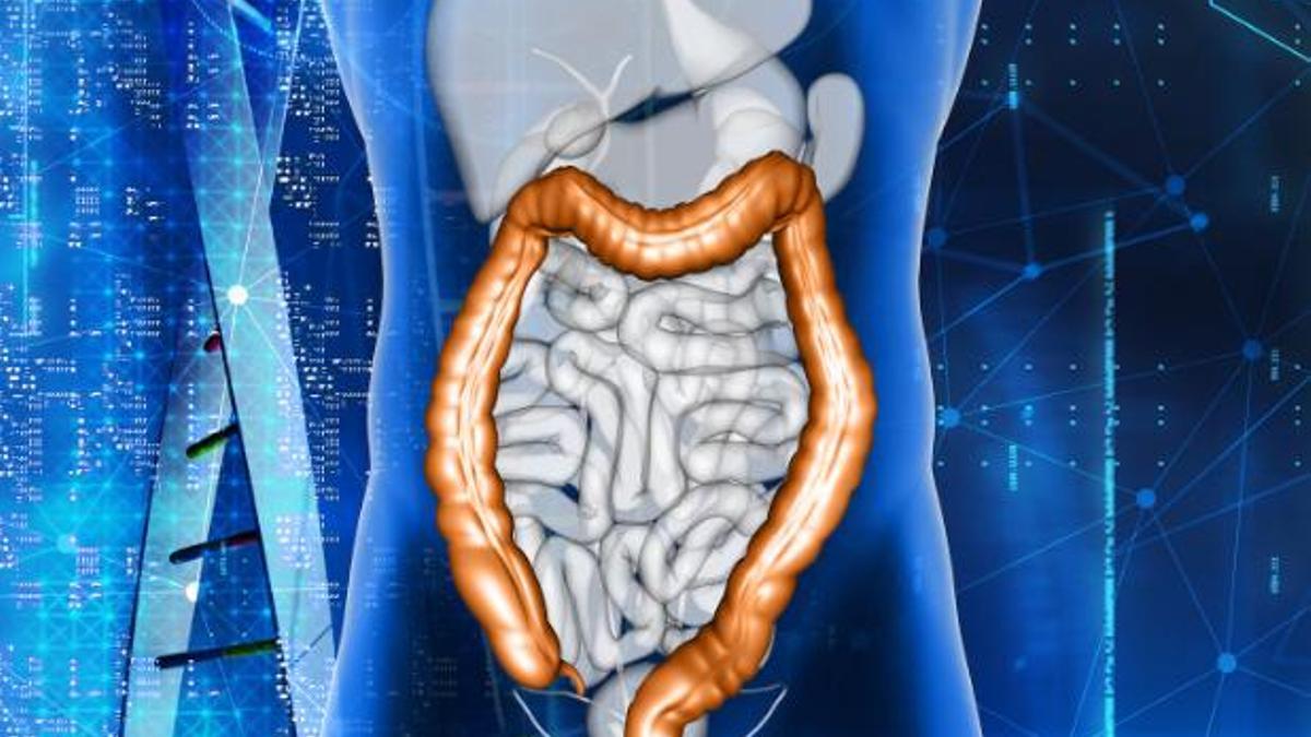 Quan m'haig de fer proves de prevenció pel càncer de còlon?