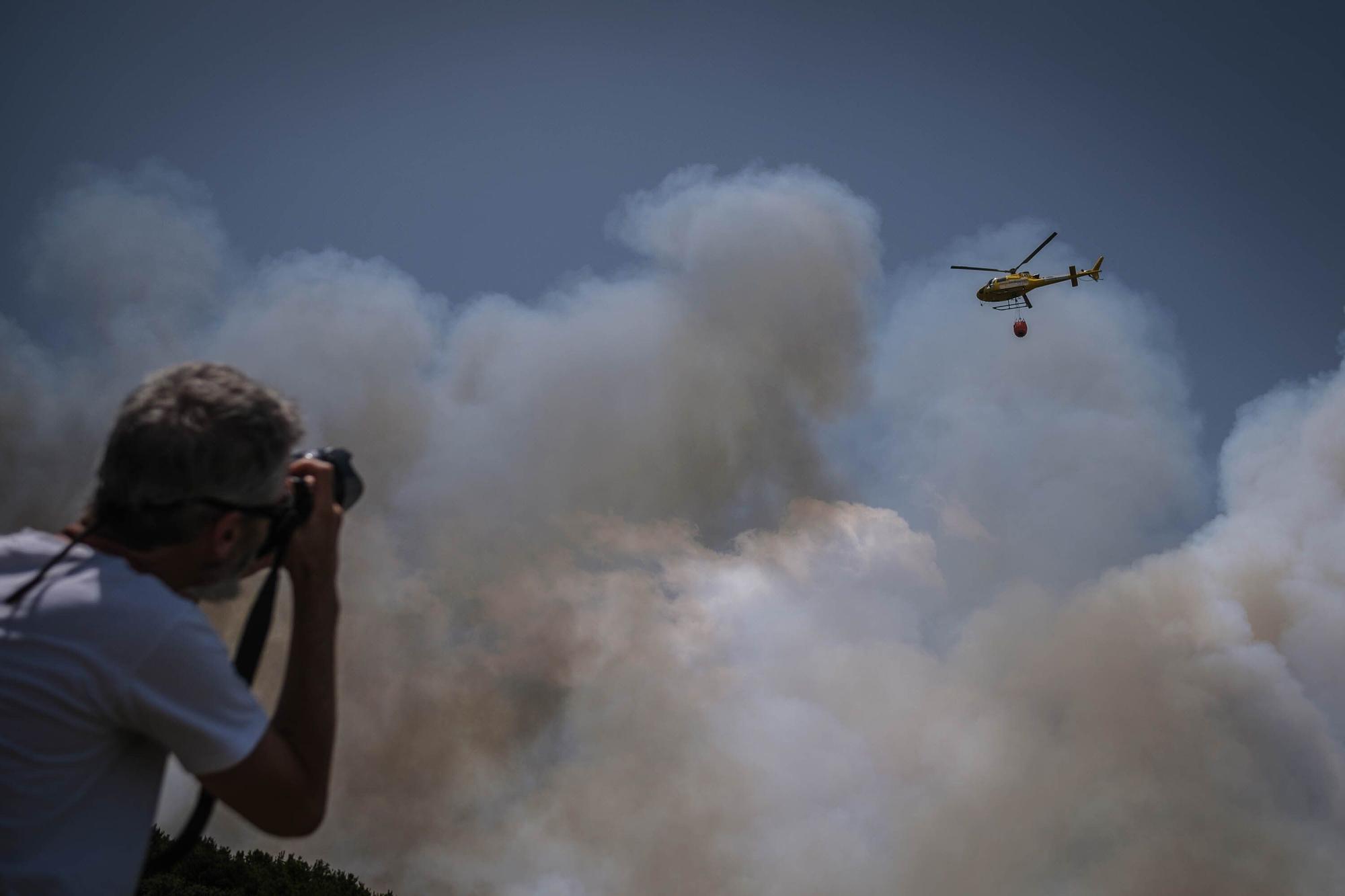 El incendio forestal de Tenerife, en imágenes