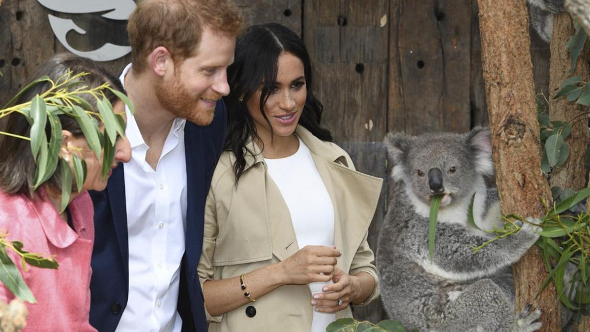 Meghan Markle, el príncipe Harry y un koala