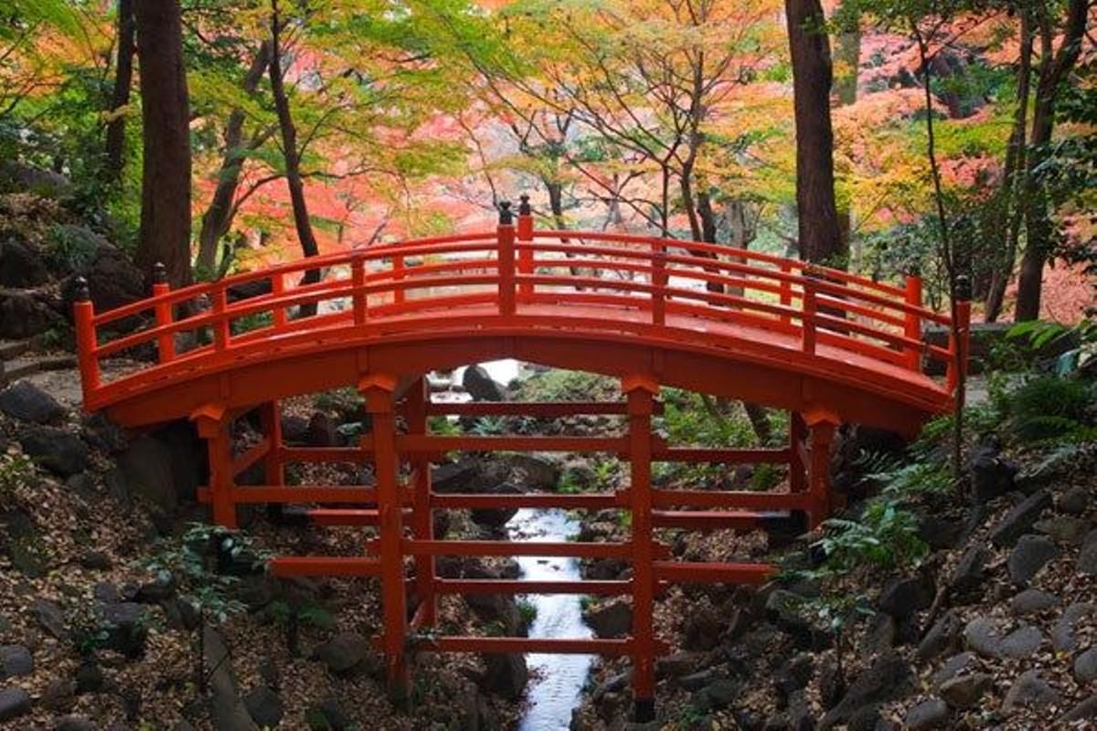 Puente Tsutenkyo en el jardín de Koishikawa Korakuen en Tokio (Japón).