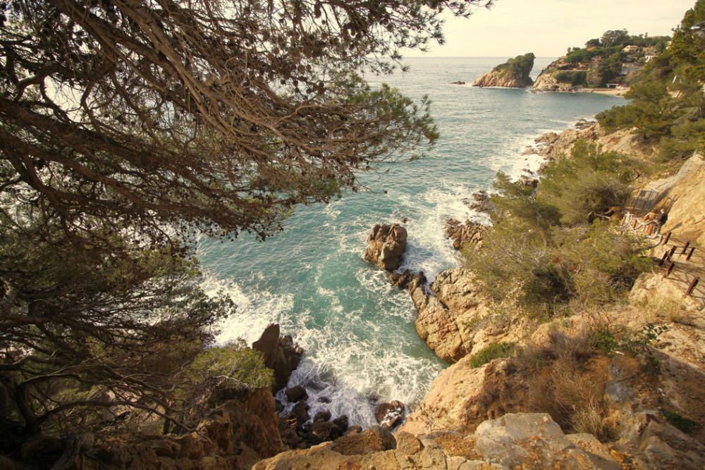 Obertura del tram de camí de ronda Blanes-Lloret