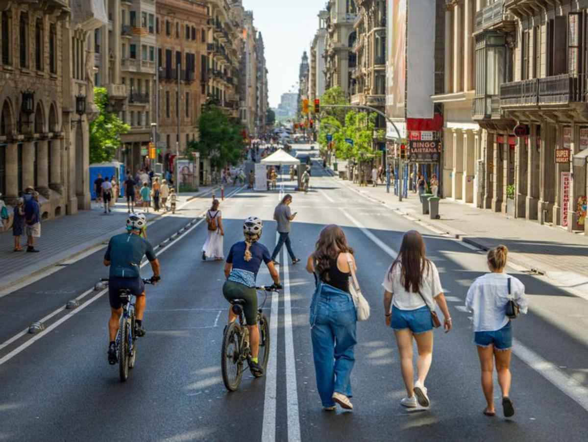 "Ruego al ayuntamiento que no haga desaparecer el bus V17 de la Via Laietana"