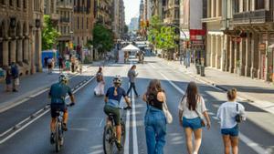 "Ruego al ayuntamiento que no haga desaparecer el bus V17 de la Via Laietana"