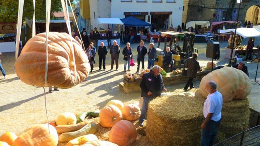 L&#039;exposició de carbasses és el principal atractiu de la fira