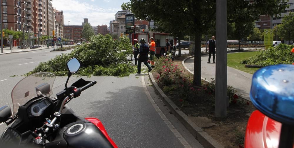 El temporal de viento causa estragos en Gijón