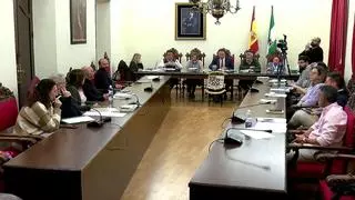 Aprueban crear una agencia pública local de turismo en Priego de Córdoba