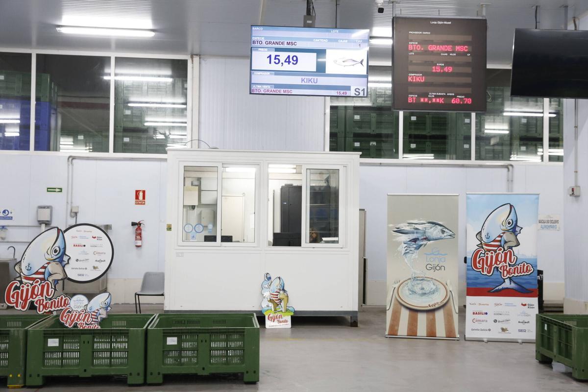 EN IMÁGENES: El primer bonito de la temporada ya está en Gijón: 2.217 kilos de "pescado del Cantábrico y de gran calidad"