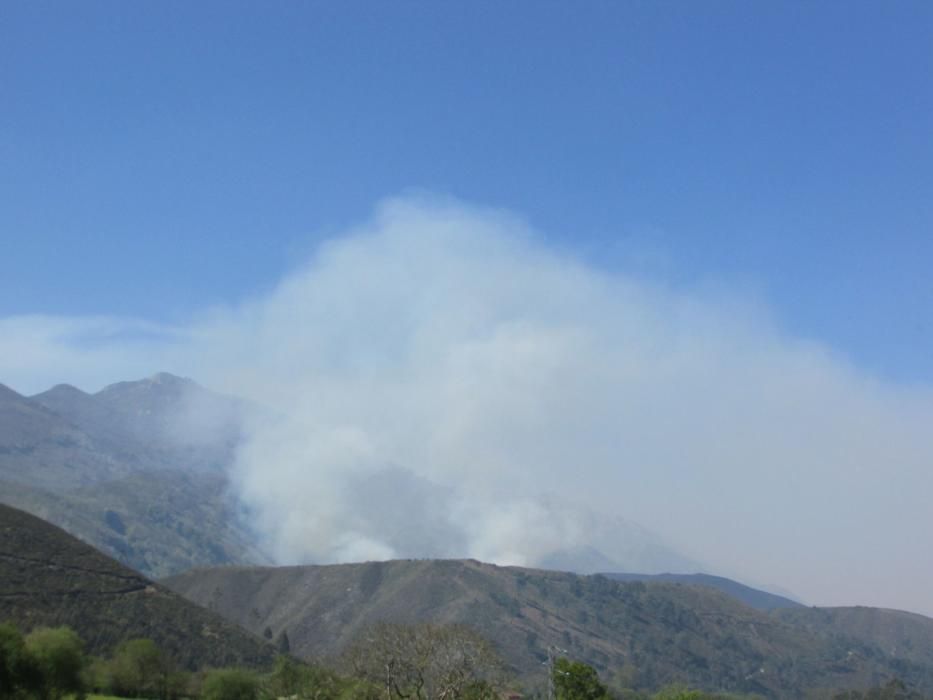 Incendio en la zona de Llanes