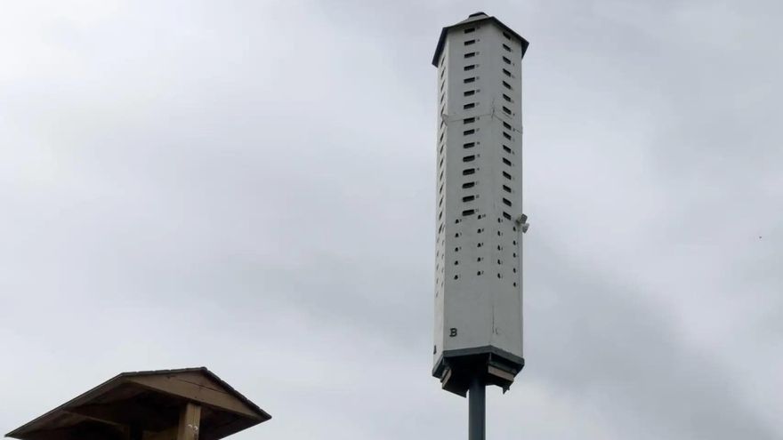 Murciélagos y vencejos para acabar con los mosquitos del Virus del Nilo en España
