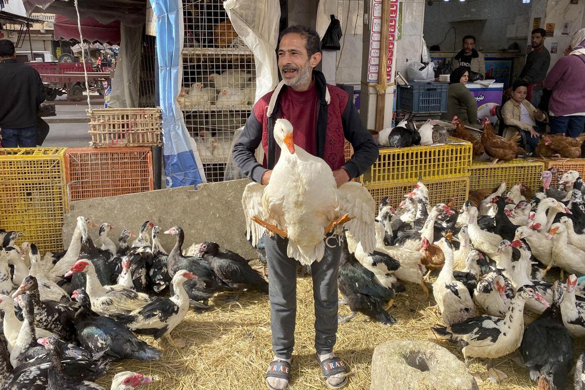 Un vendedor de patos en el mercado del barrio Al Arab de Port Said, en el noreste de Egipto.