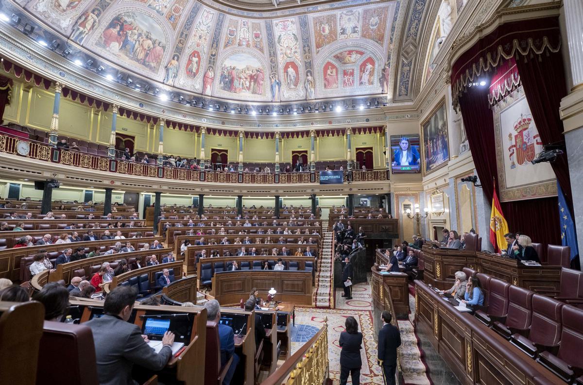 El Congrés només ha debatut una llei a més de la d’amnistia