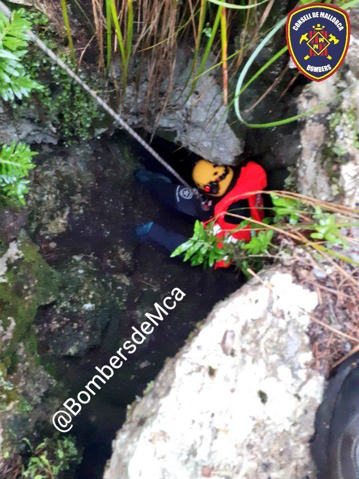 Los bomberos rescatan a un perro caído en una sima en Escorca