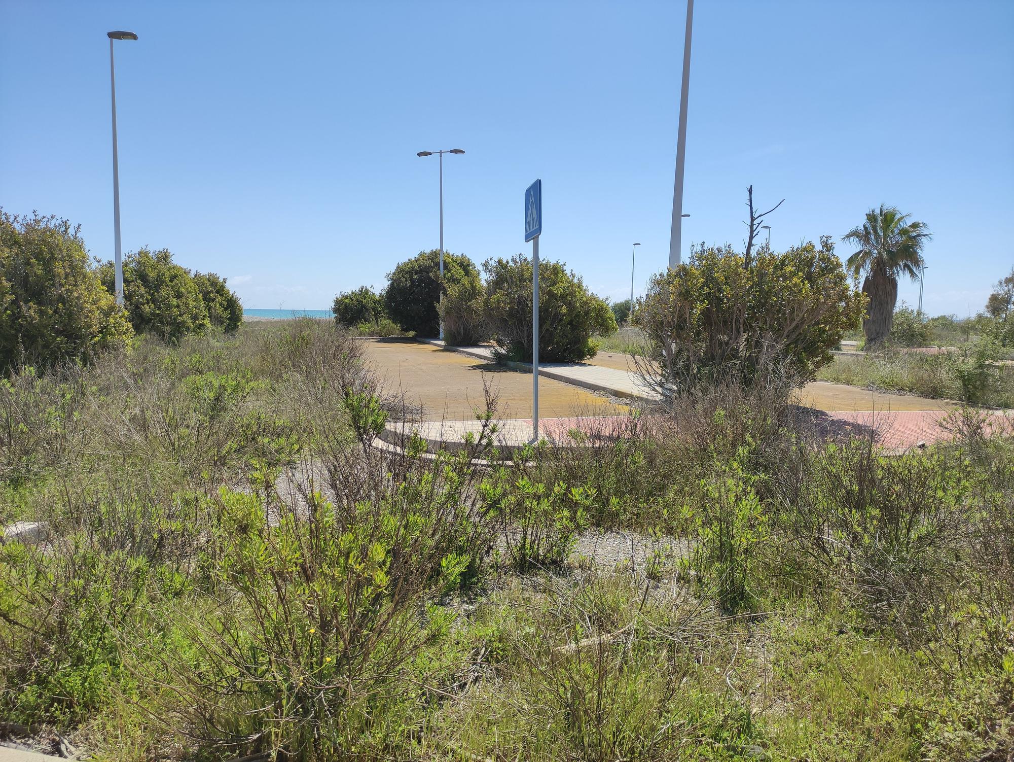 El PAI Belcaire Sur de Moncofa, una urbanización abandonada y habitada solo por la maleza