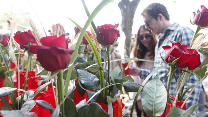 Set activitats per fer a Girona el dia de Sant Jordi