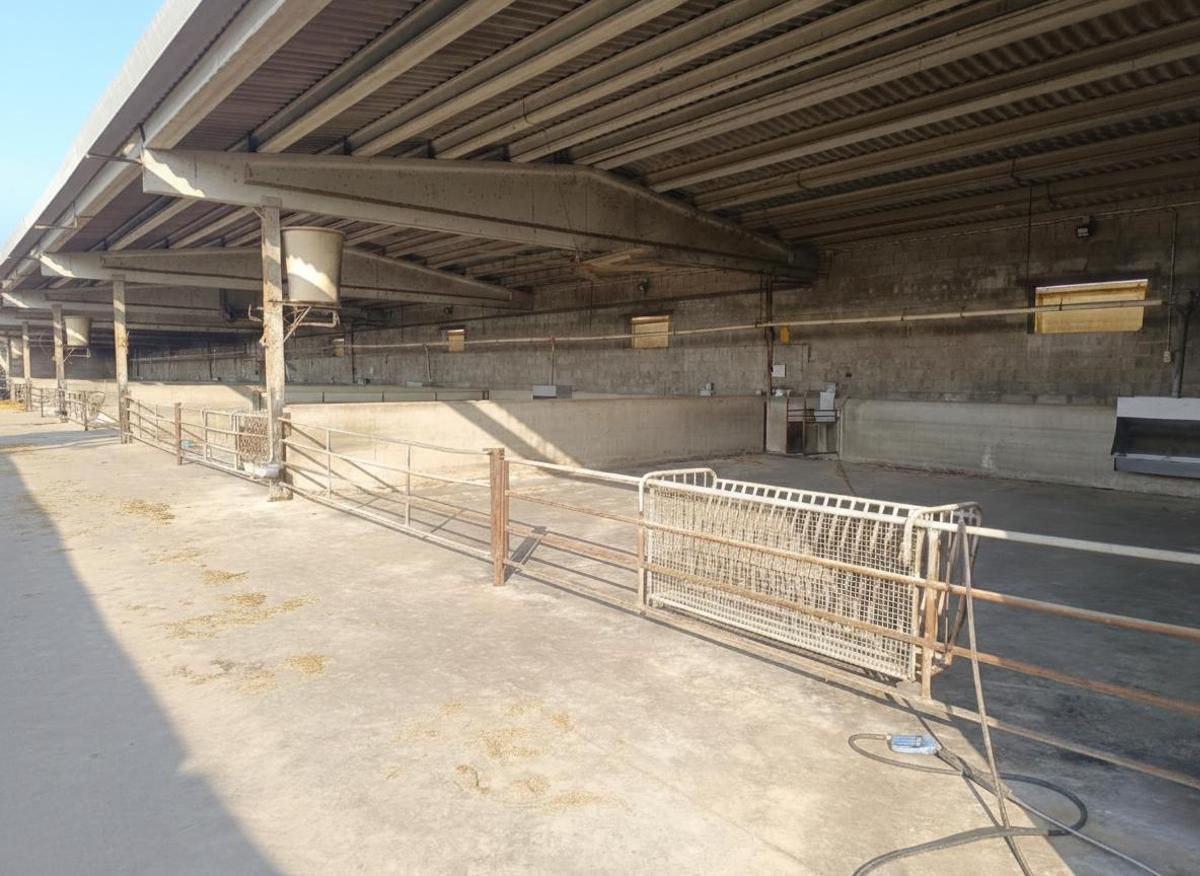 Aspecto de una granja de ganado bovino en el Alt Empordà vacía por la dermatosis nodular contagiosa (DNC)