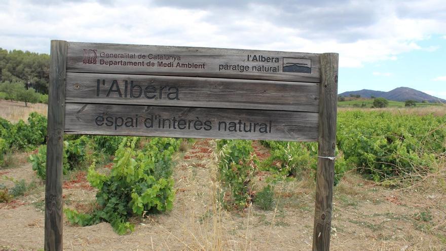 La Diputació de Girona reclama a la Generalitat que creï el parc natural de l&#039;Albera