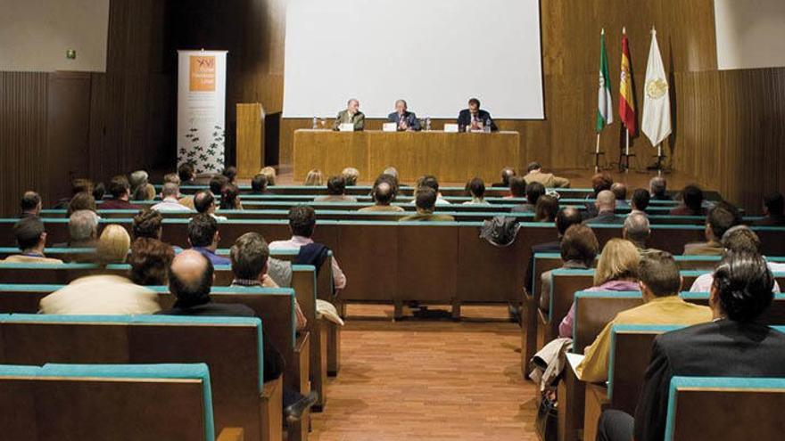 El Palacio de Congresos de Ronda, donde se celebran las proyecciones de la bienal.