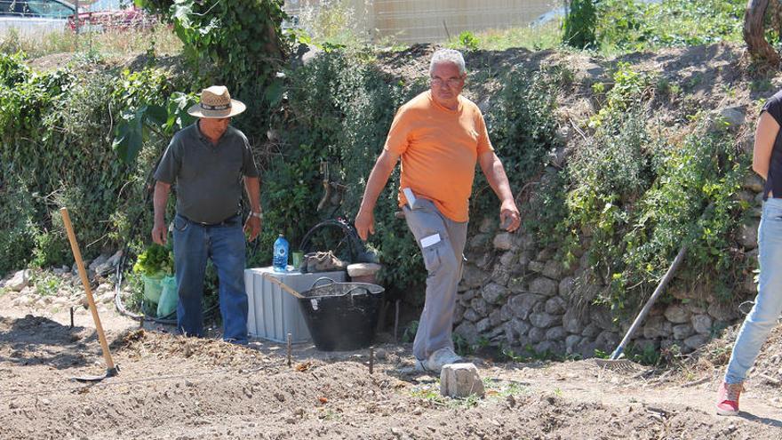 Los huertos sociales están teniendo una gran aceptación