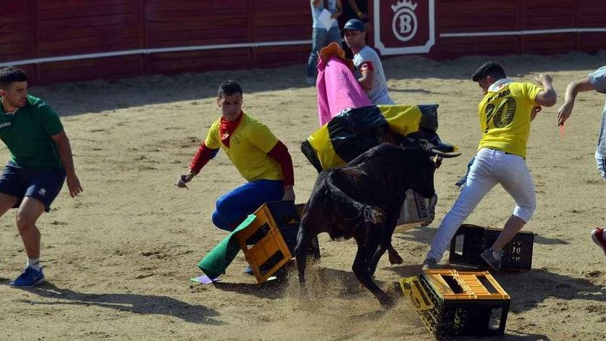 Complicado aguantar sentado con las embestidas de la vaquilla.