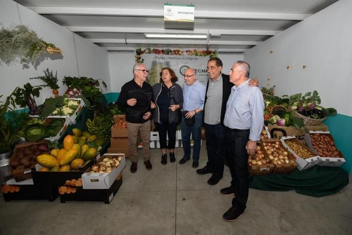 Feria Ecológica de Gran Canaria