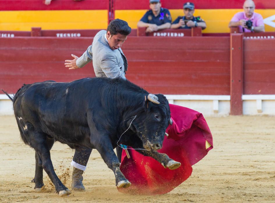 Fervor por los nuevos valores en la becerrada de la feria de San Juan