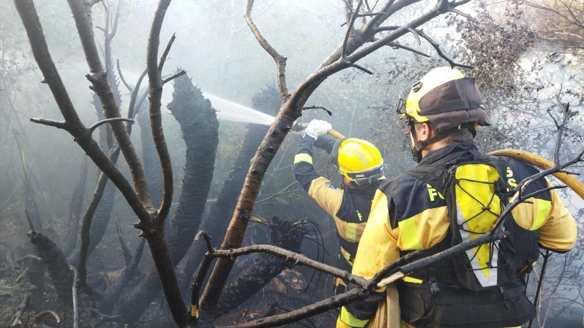 Bombers de Mallorca sofocan las llamas en Puig den Mir, Artà