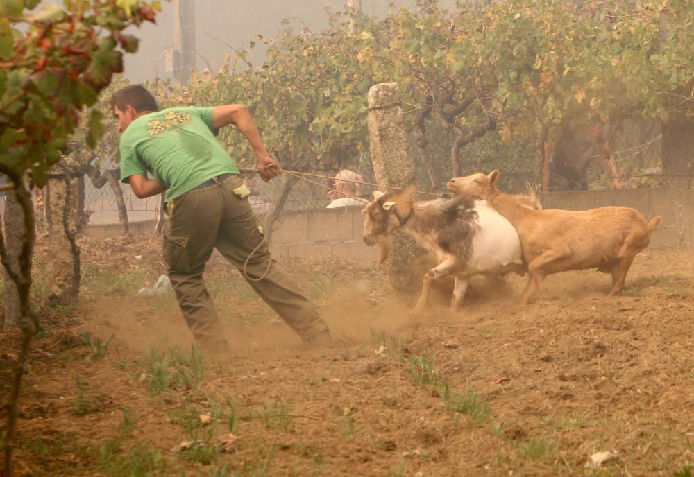 Incendis a Galícia